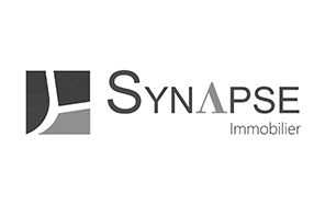 Synapse